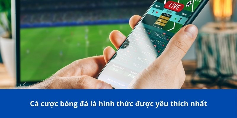 Cá cược bóng đá dịch vụ được ưa chuộng nhất
