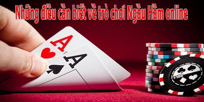 Tuyệt chiêu chinh phục Ngầu Hầm dành cho newbie